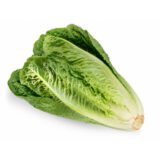 Salade