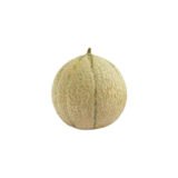 Melon