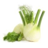 Fenouil