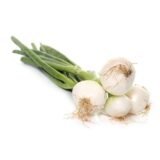 Oignon Blanc botte