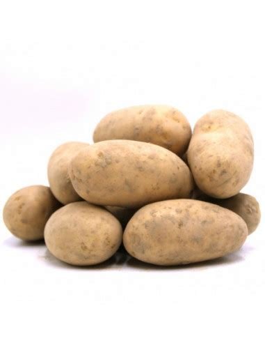 Pomme de terre Bintje