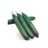 Concombre long