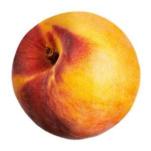 Pêche jaune