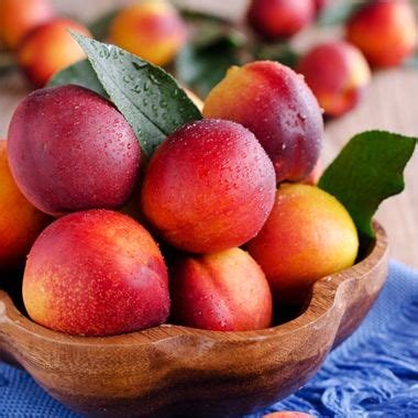 Nectarine plateau