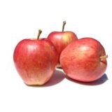 Pomme gala