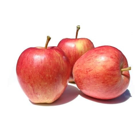 Pomme gala
