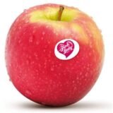 Pomme pink lady