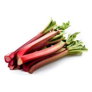 Rhubarbe
