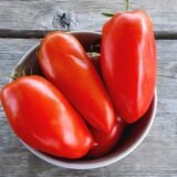 Tomate cornue