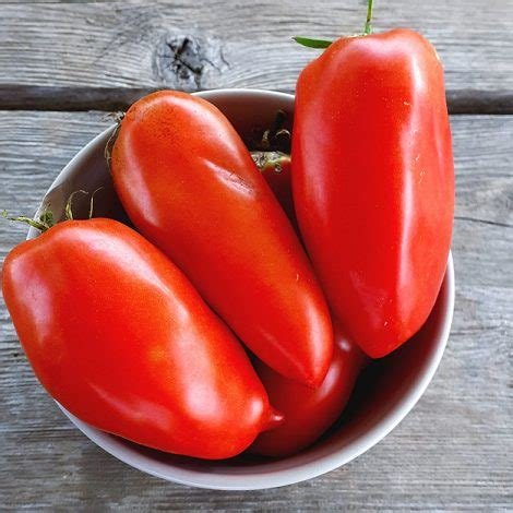 Tomate cornue